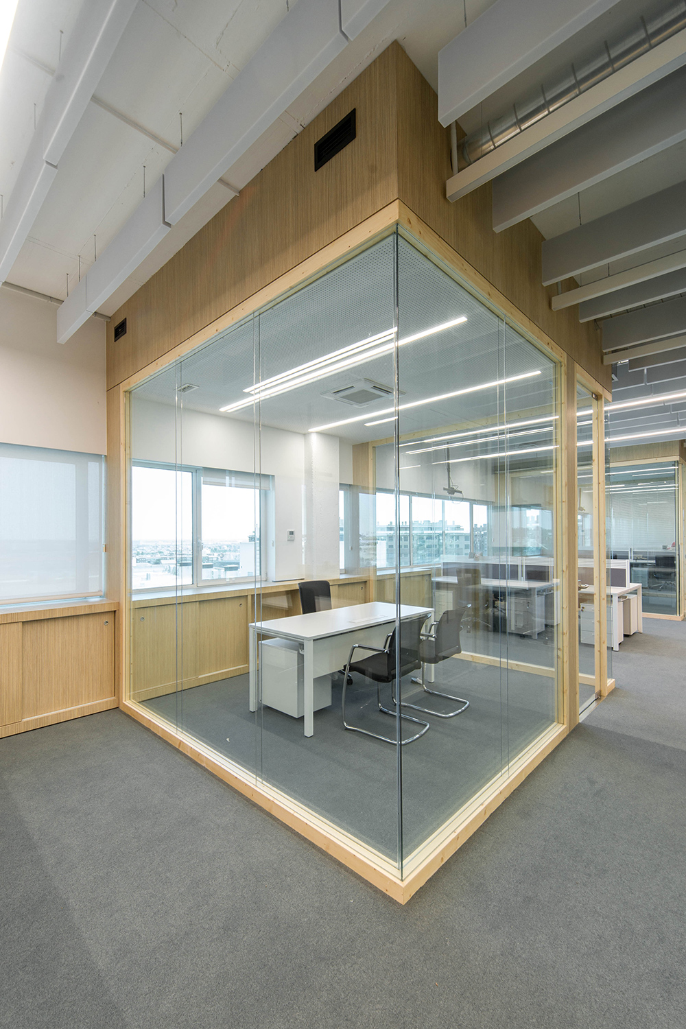 Nuevas Oficinas de ALEA